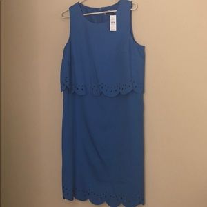 Loft scalloped shift dress